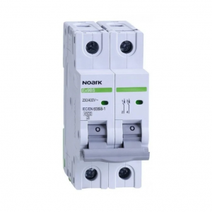 Автоматичний вимикач NOARK Ex9BS 2P C 4.5kA 6А-63A